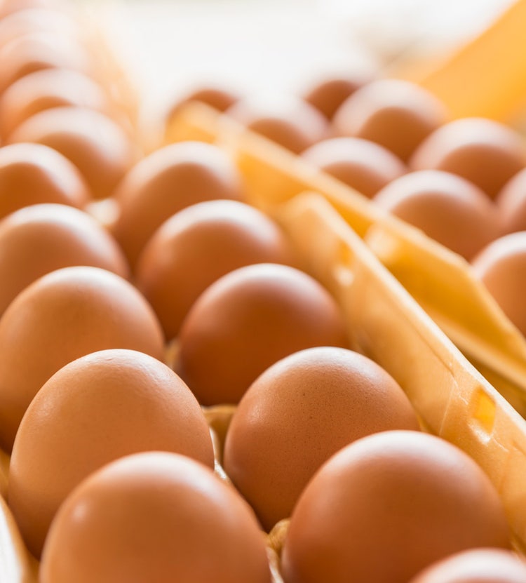 Cartons of eggs - Avendra International's food supply chain